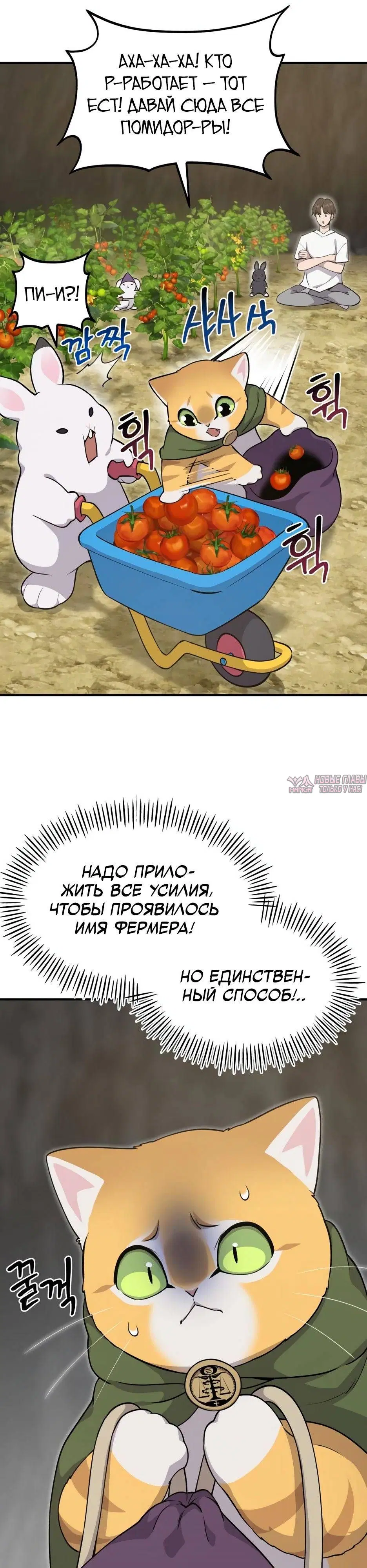 Page 52.000