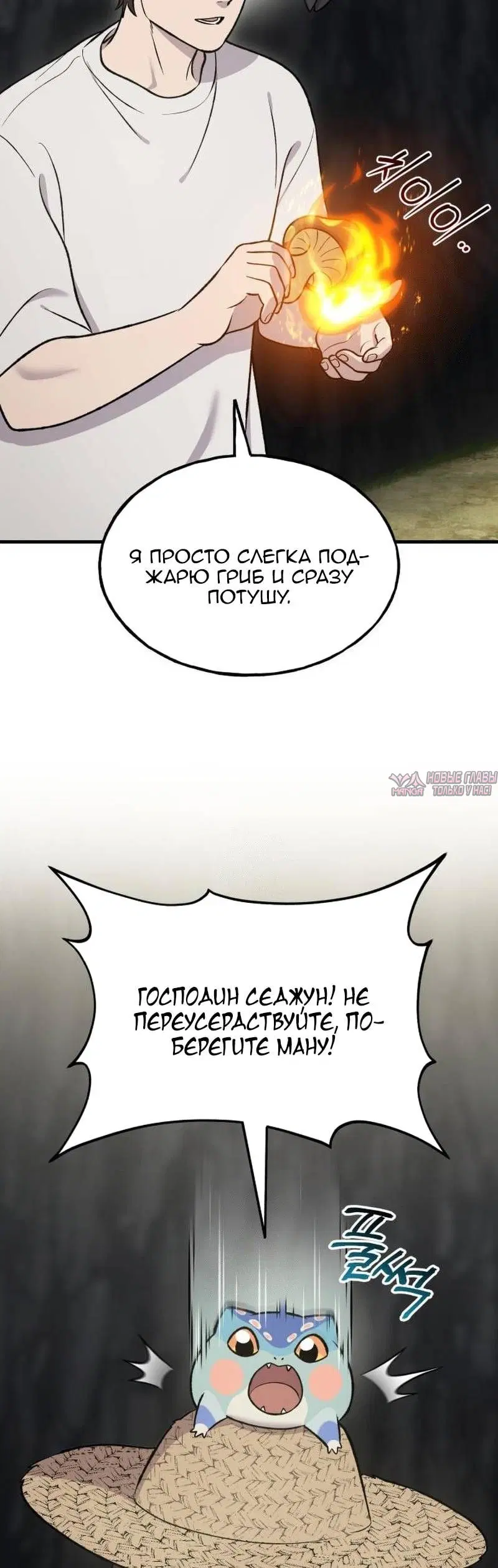 Page 53.000