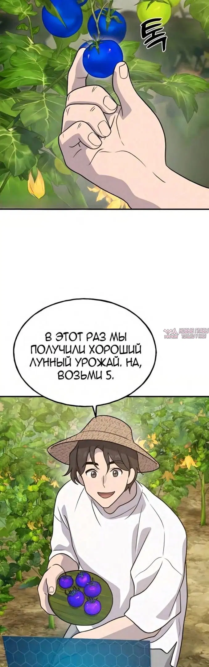Page 64.000