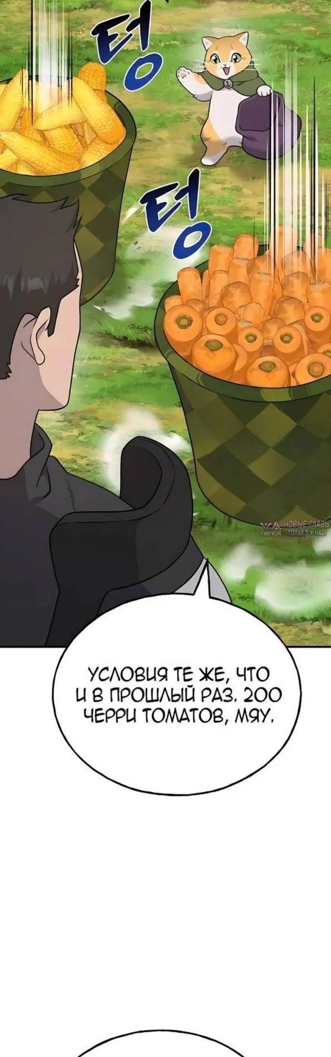 Page 65.000