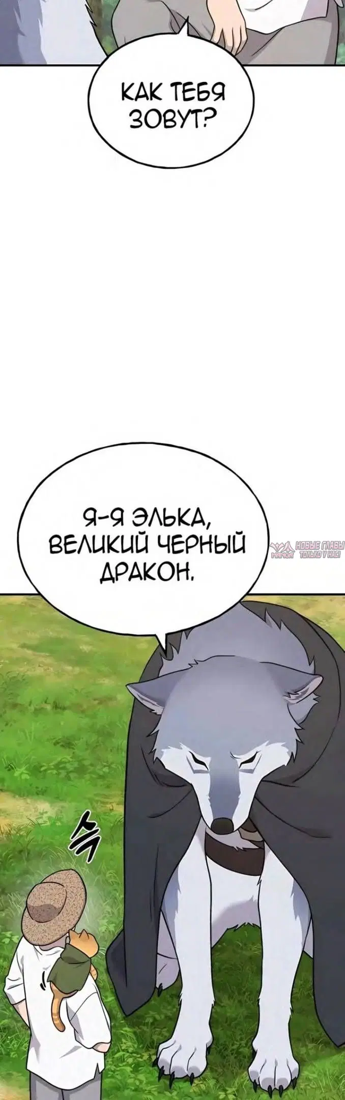 Page 65.000