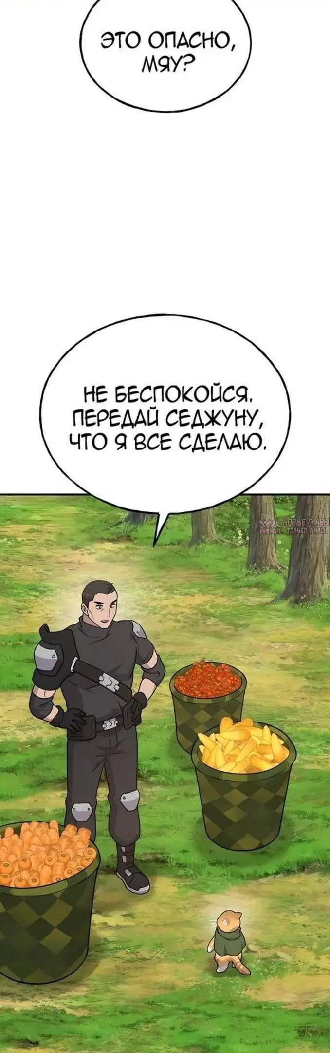 Page 68.000