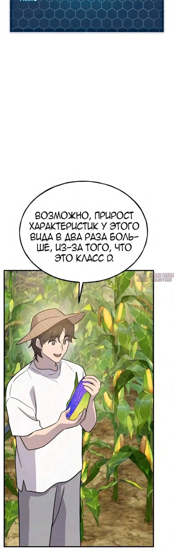 Page 61.000