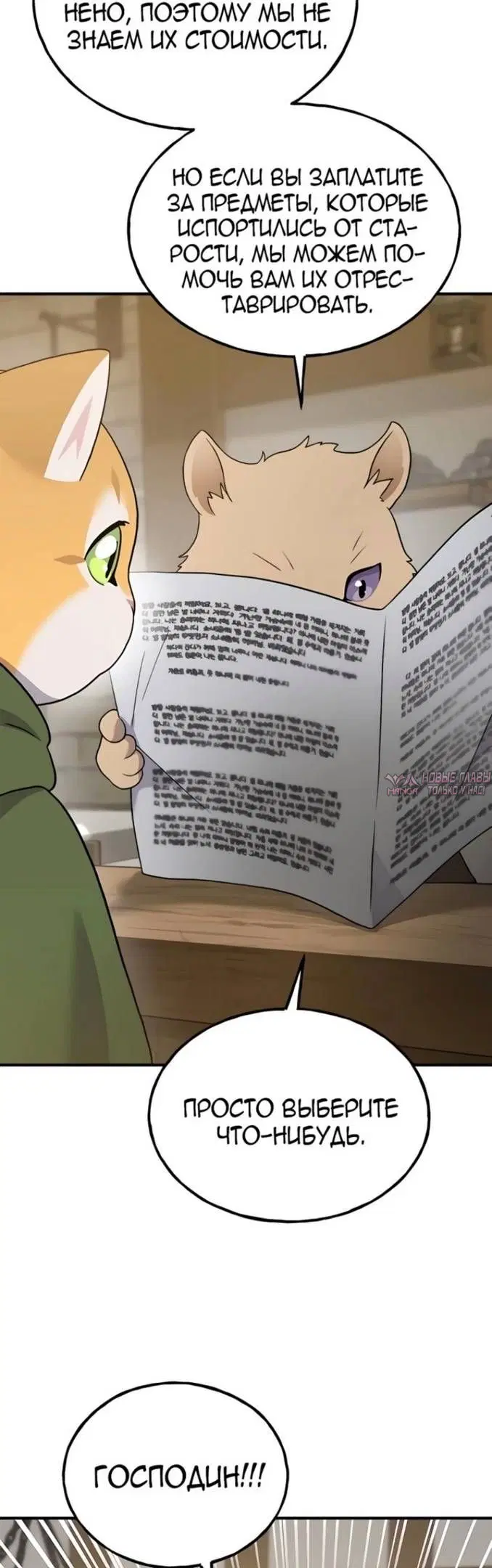 Page 63.000