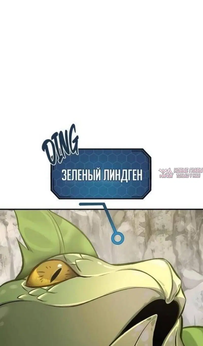 Page 79.000