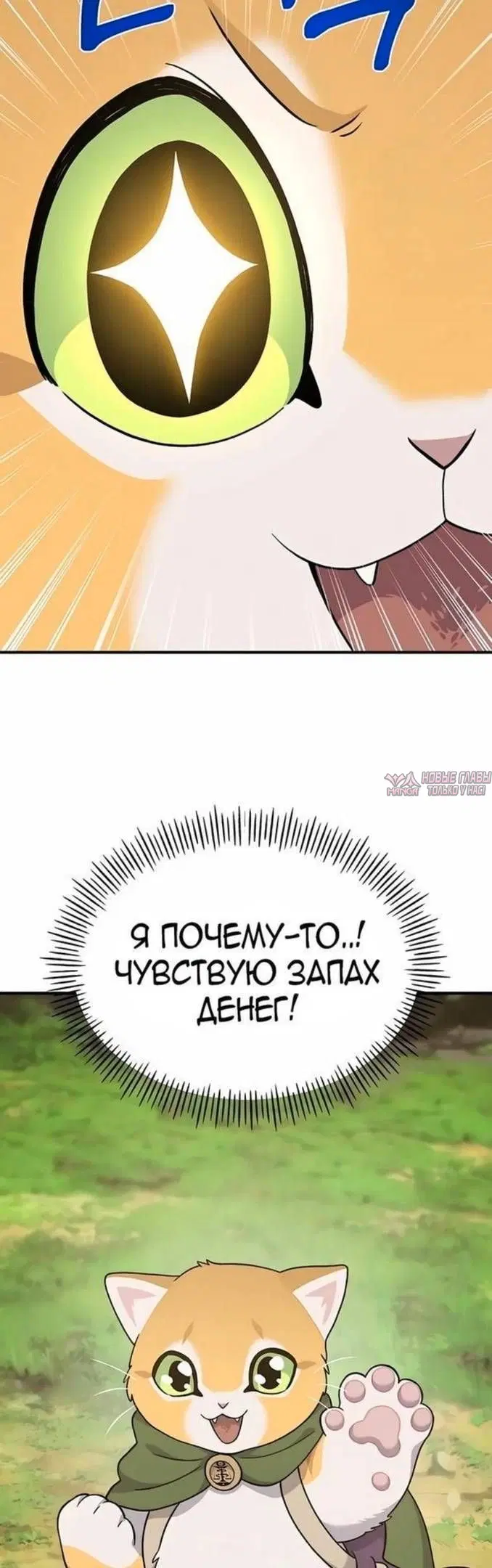 Page 80.000