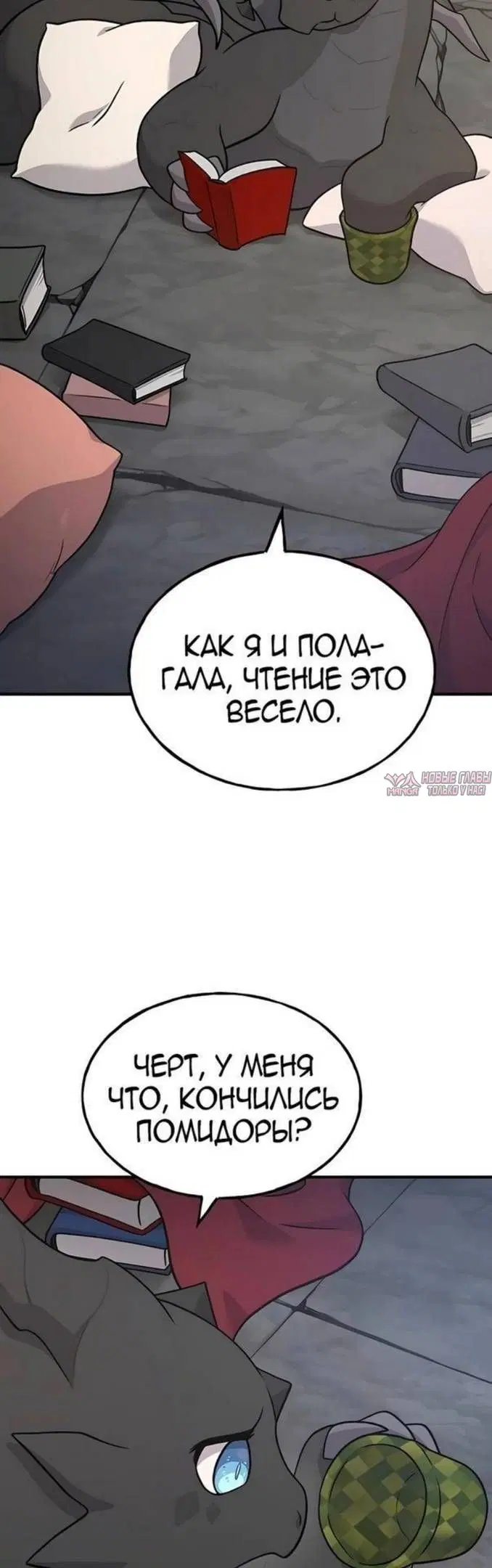 Page 81.000