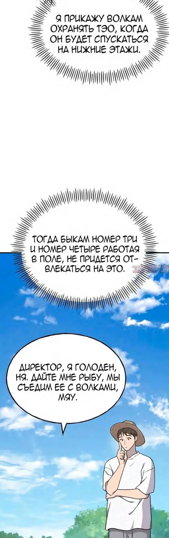 Page 81.000