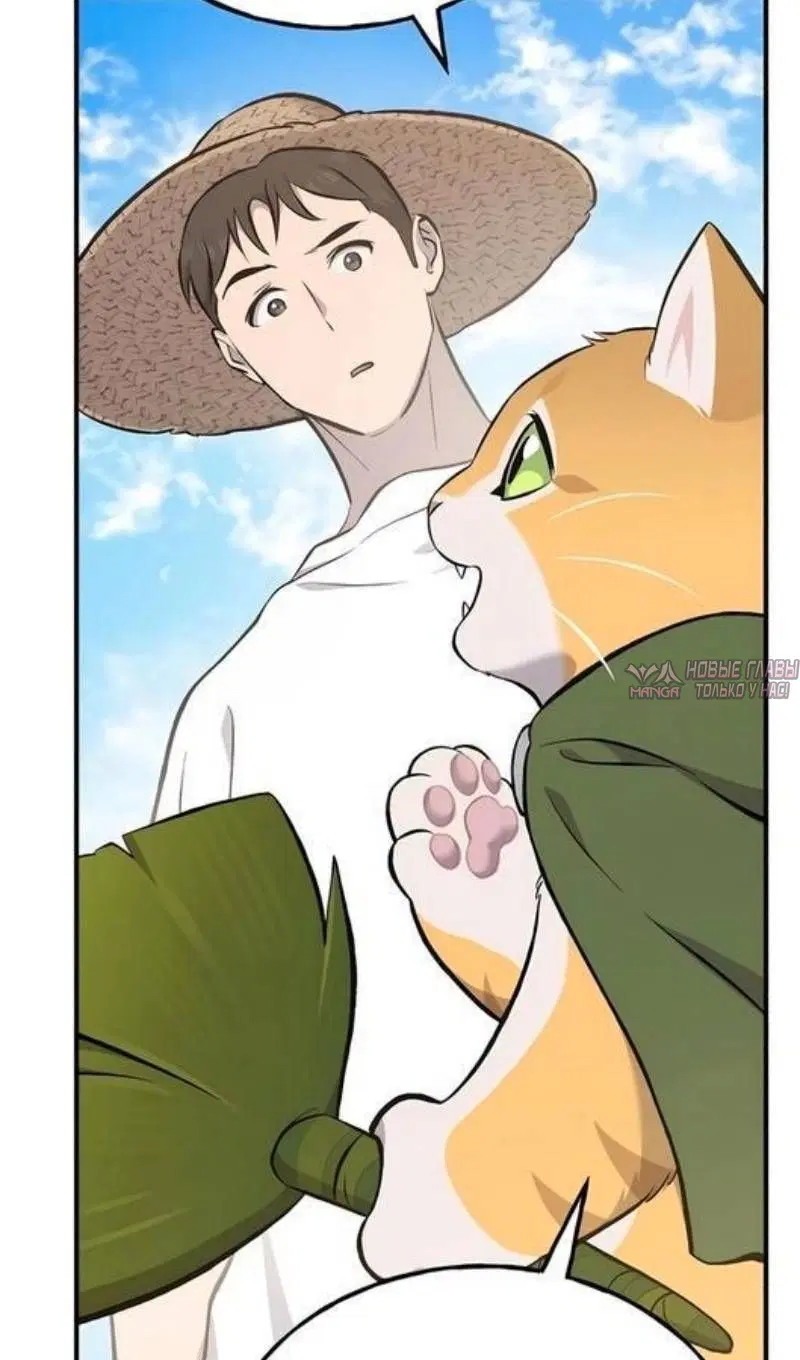 Page 113.000