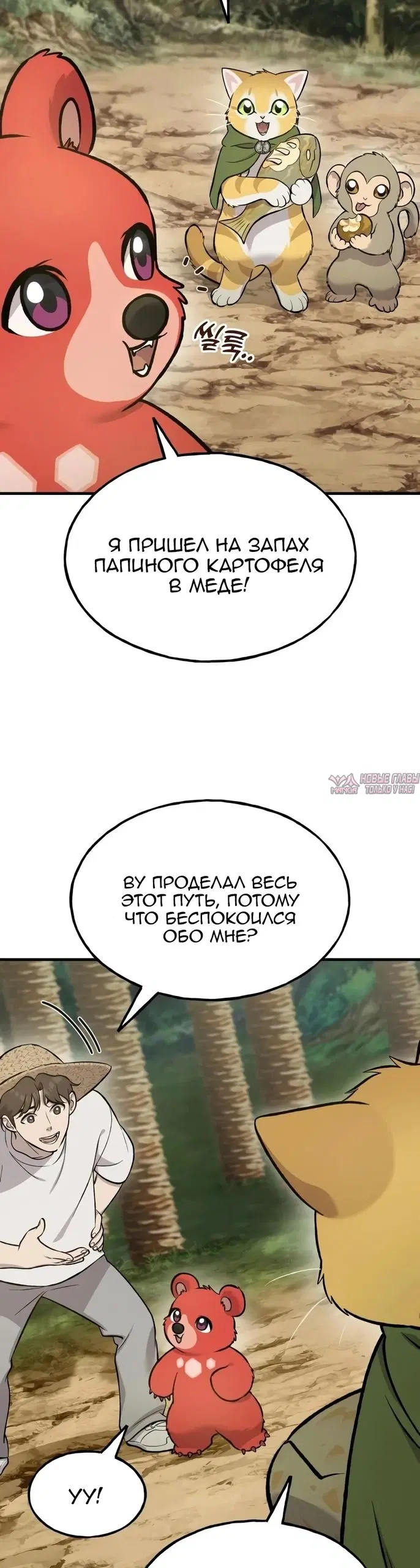 Page 12.000000000