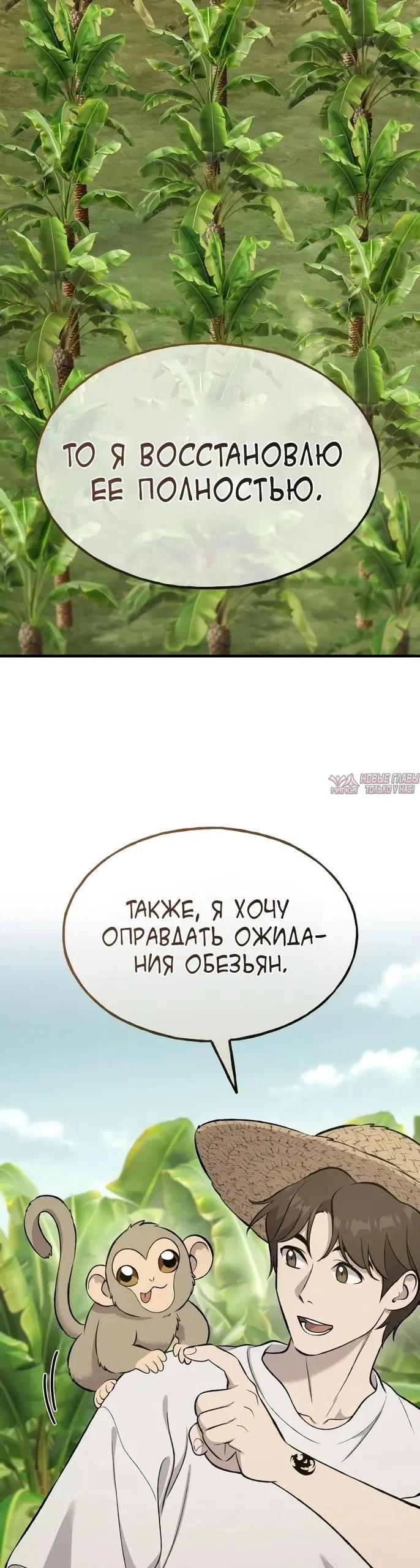 Page 17.000000000