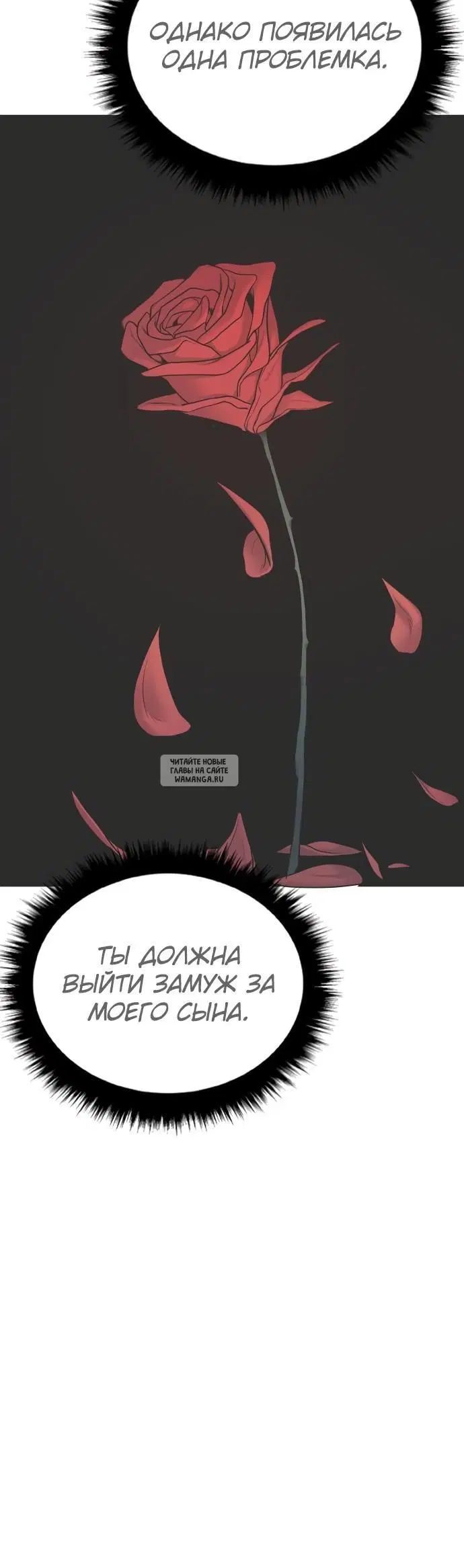 Page 40.000