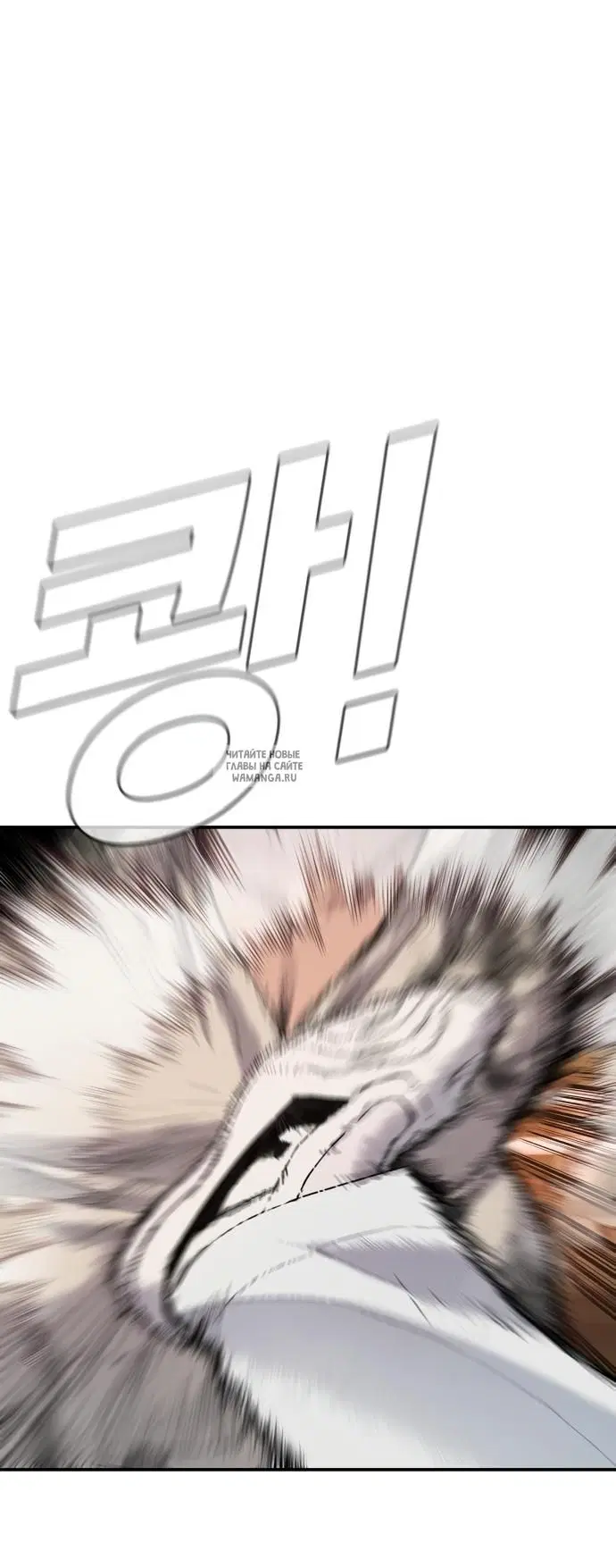 Page 54.000