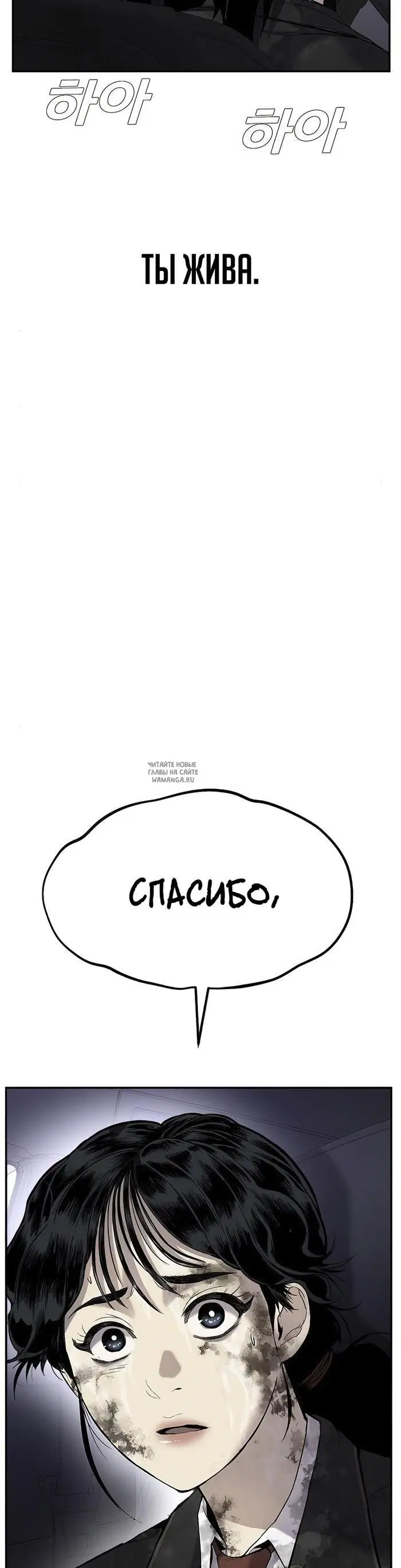 Page 51.000