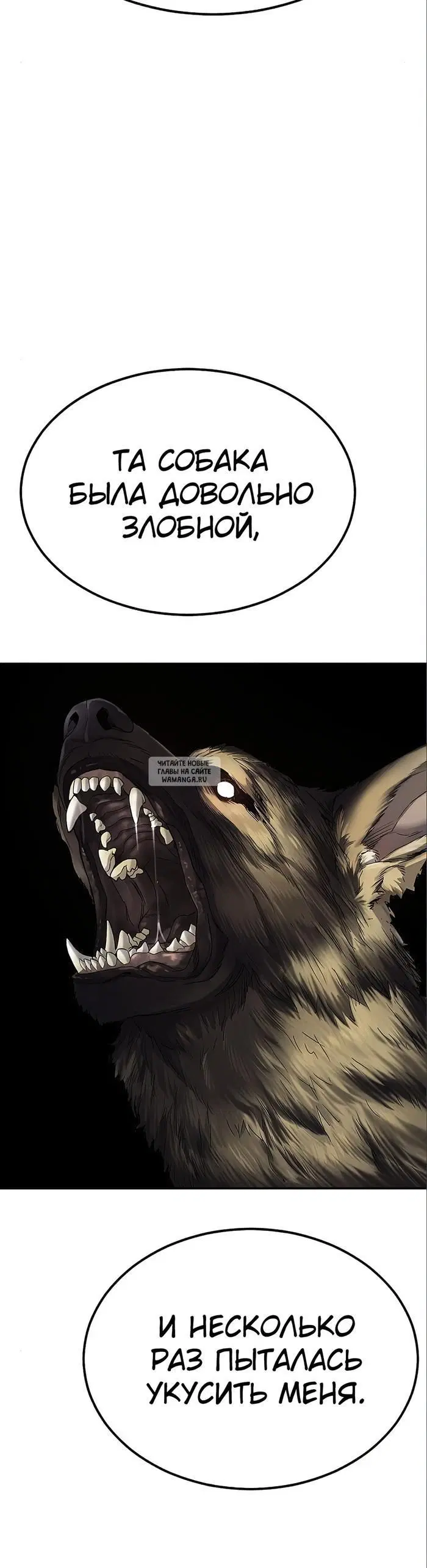 Page 66.000