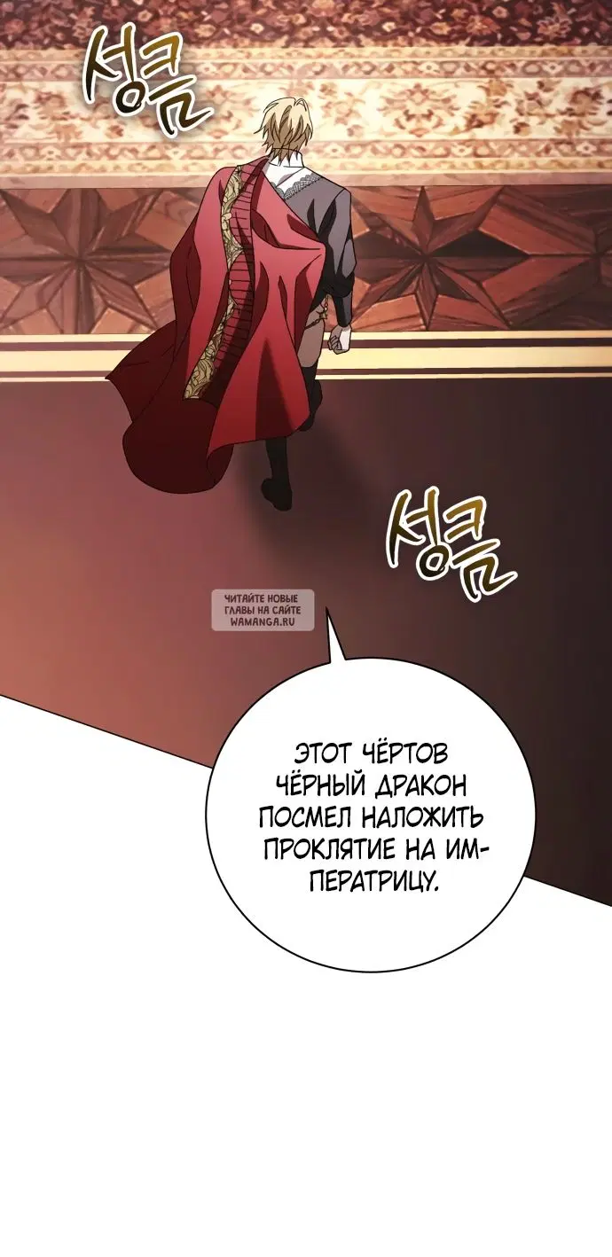 Page 41.000