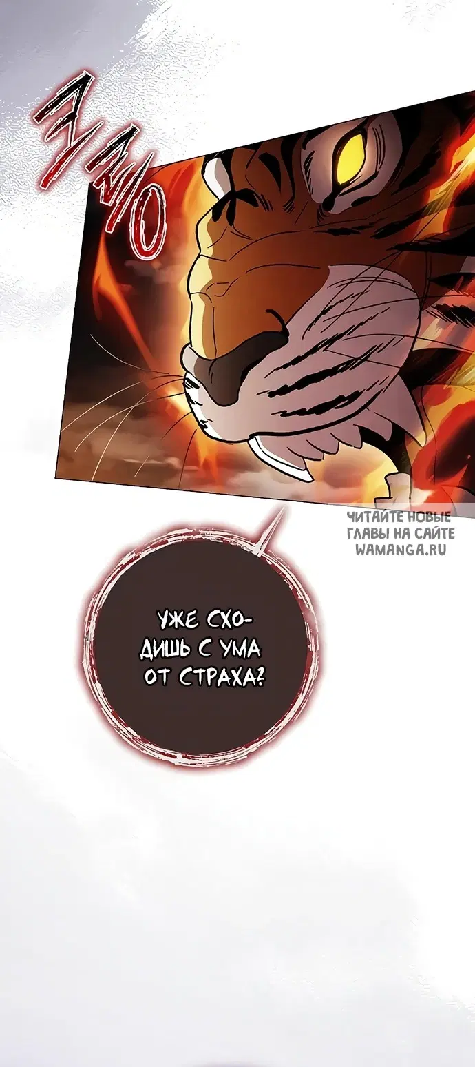 Page 41.000