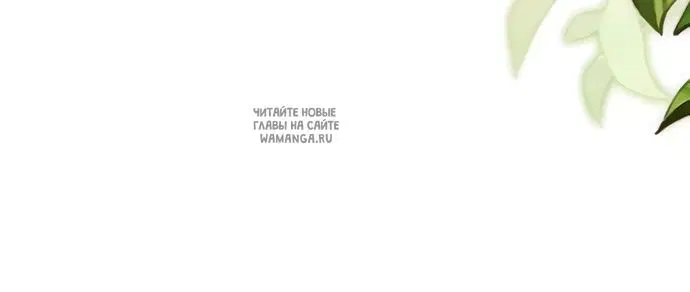 Page 54.000
