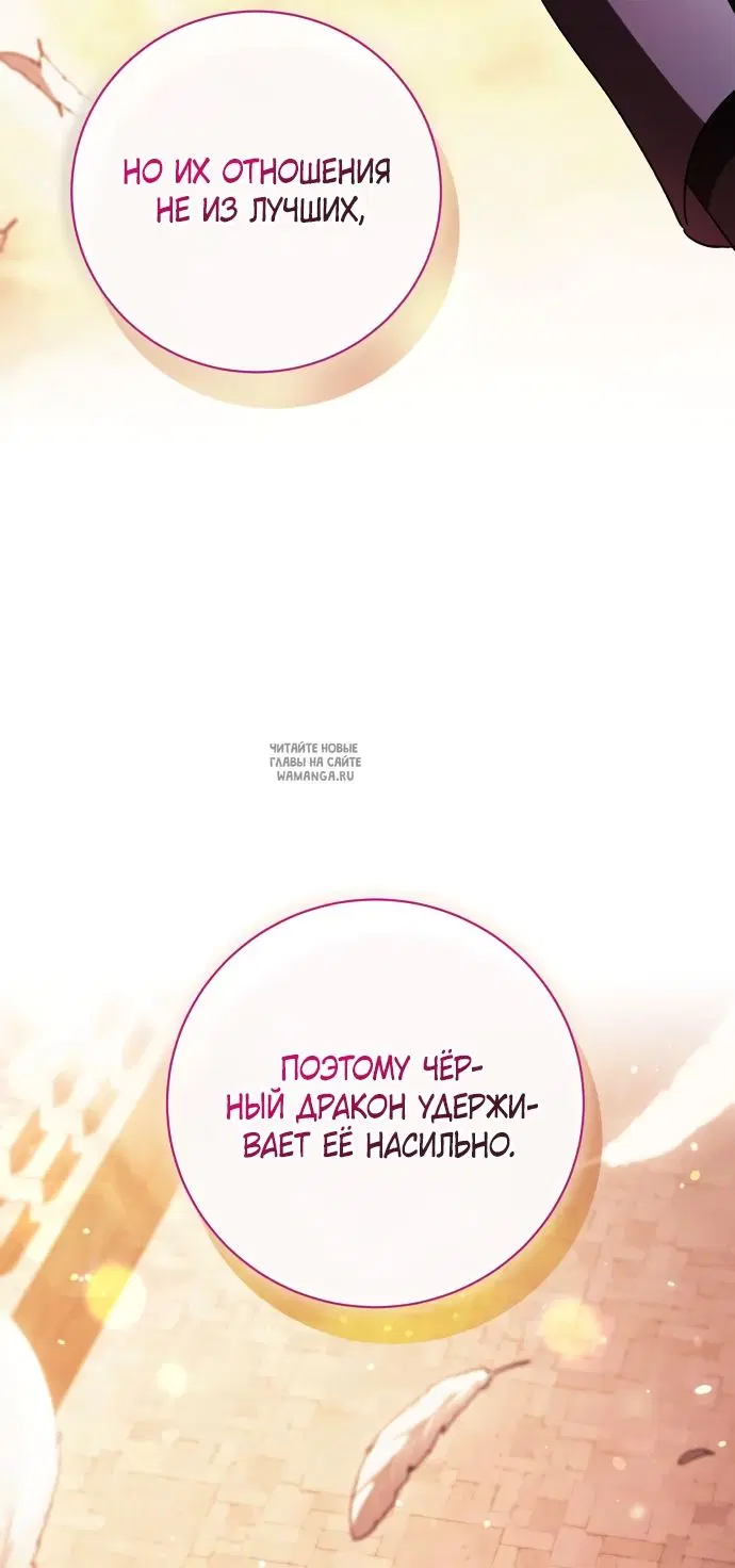 Page 52.000