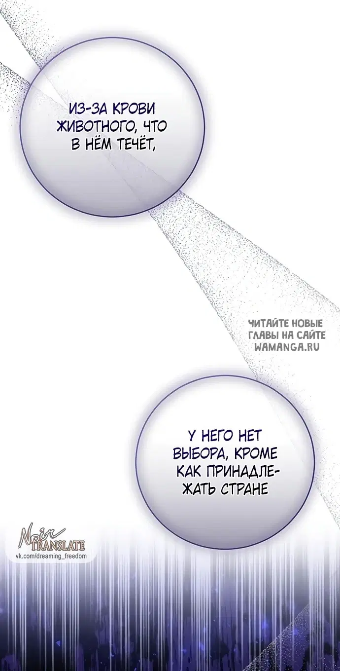 Page 53.000