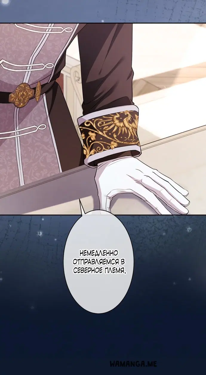 Page 41.000
