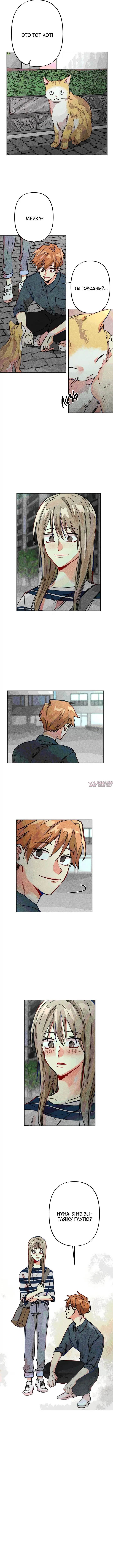 Page 5.001