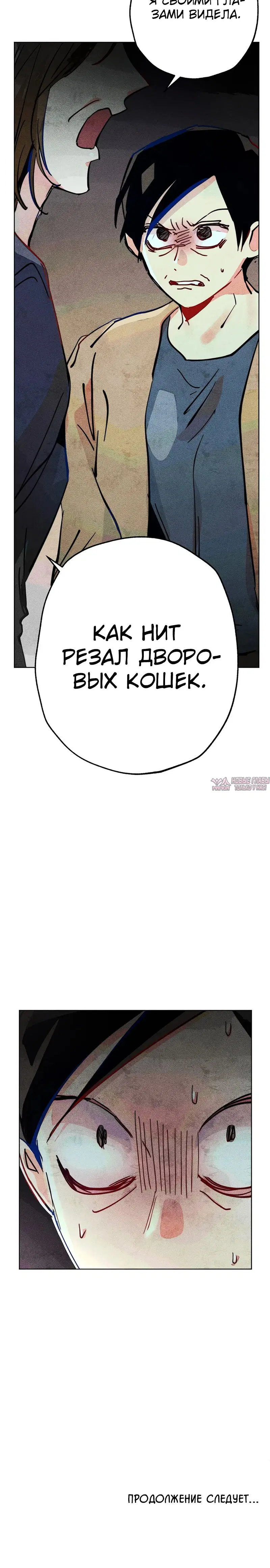 Page 5.002
