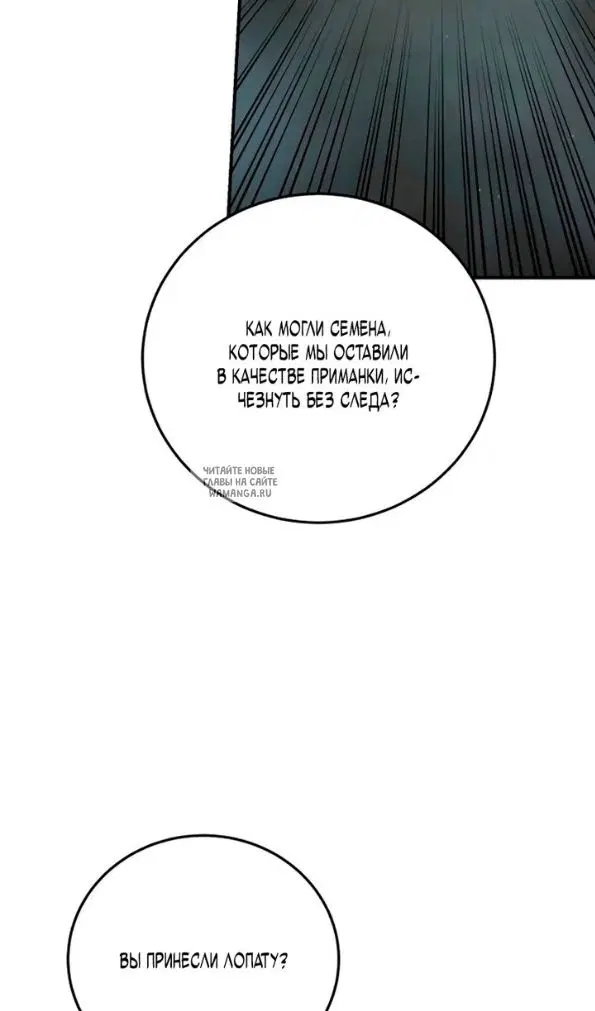 Page 51.000