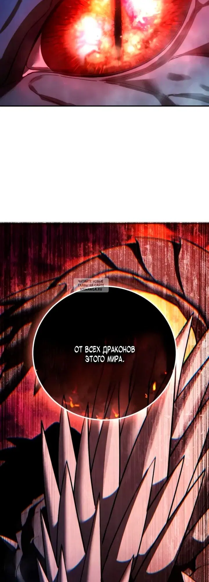 Page 81.000