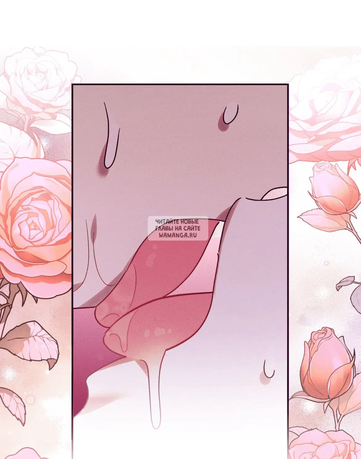 Page 38.000