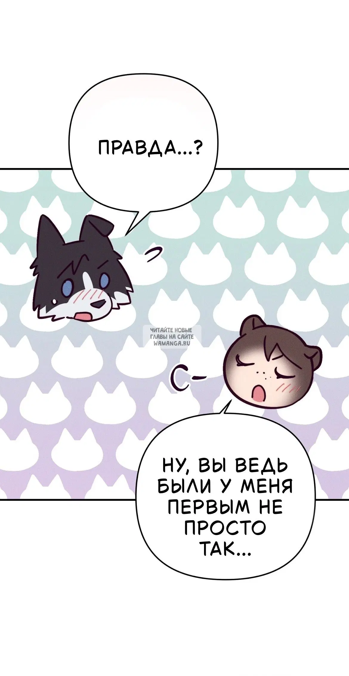 Page 31.000