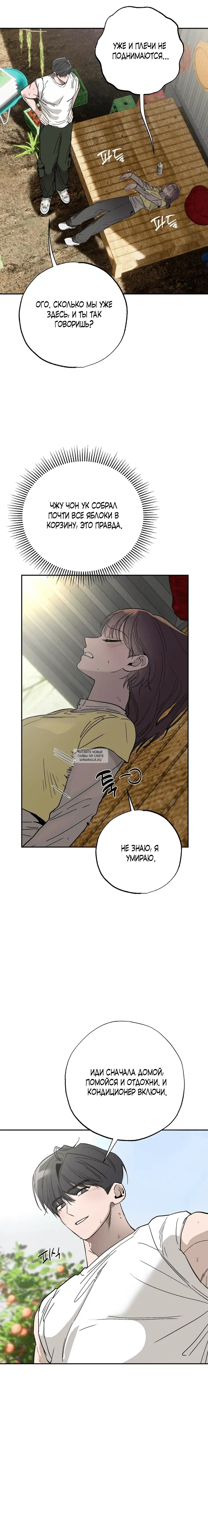 Page 17.000