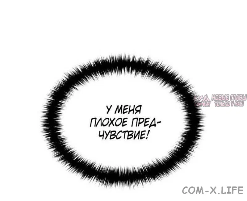 «Возвращение героя катастрофы», глава 110, страница 81.000000000