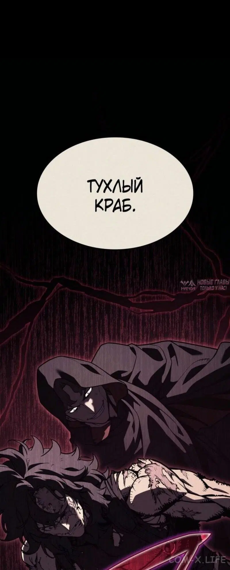 «Возвращение героя катастрофы», глава 114, страница 11.000000000