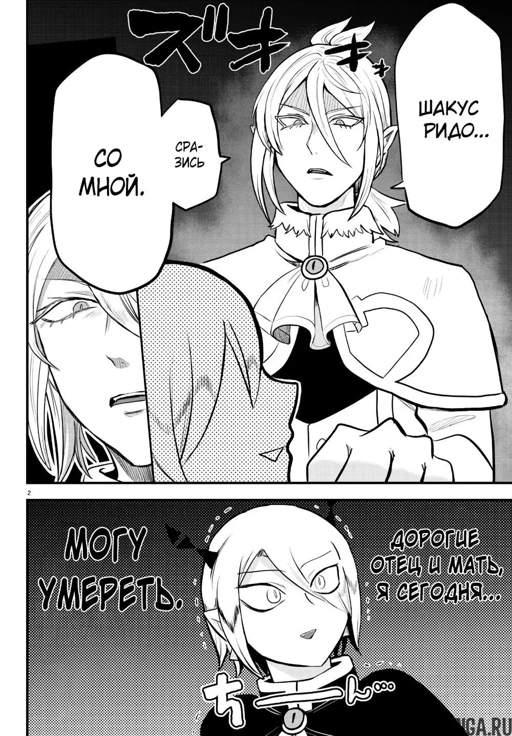 Page 3.000