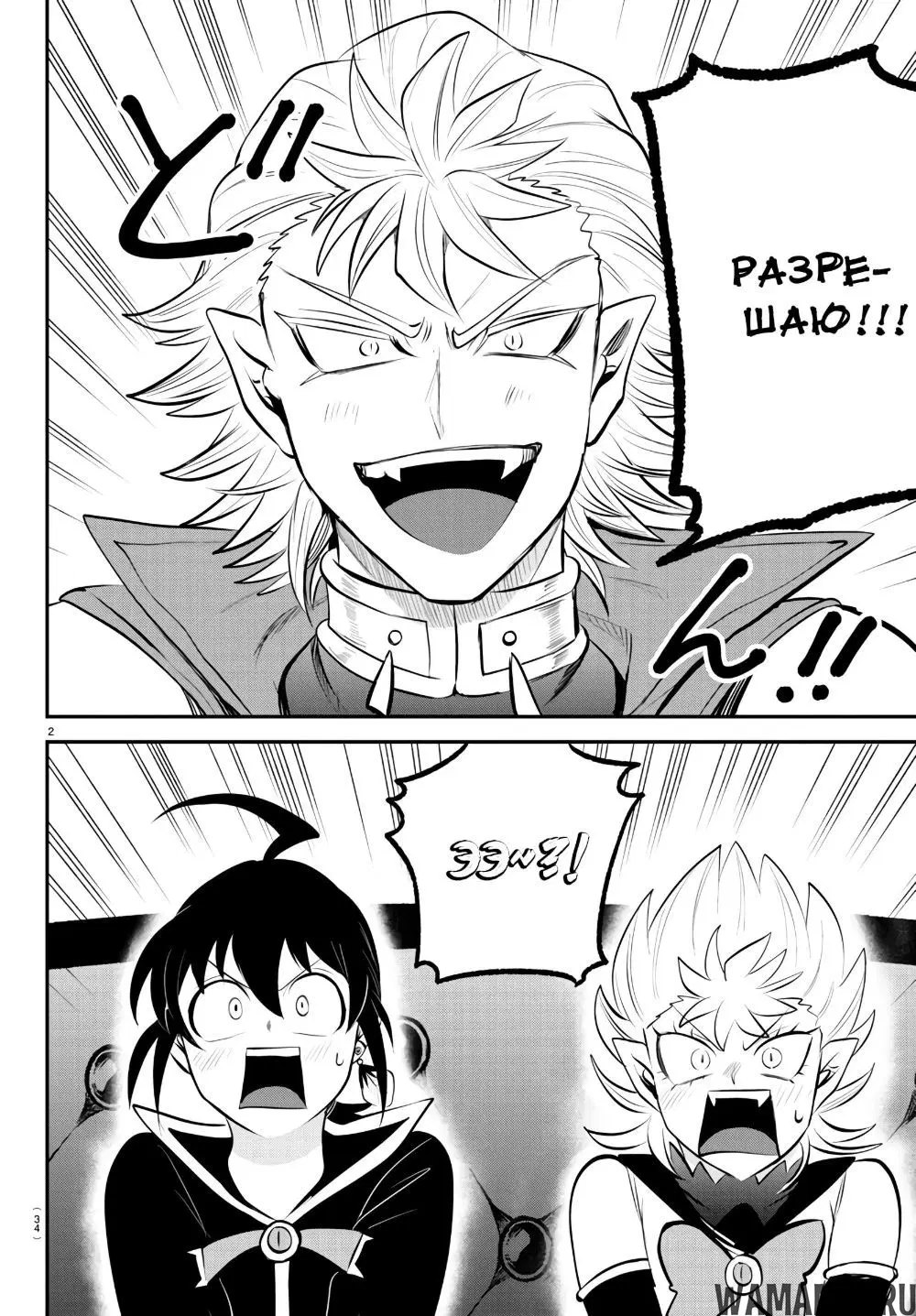 Page 3.000