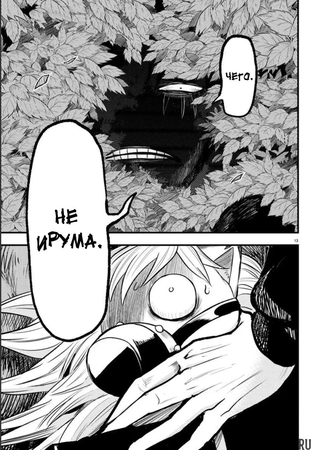 Page 13.000