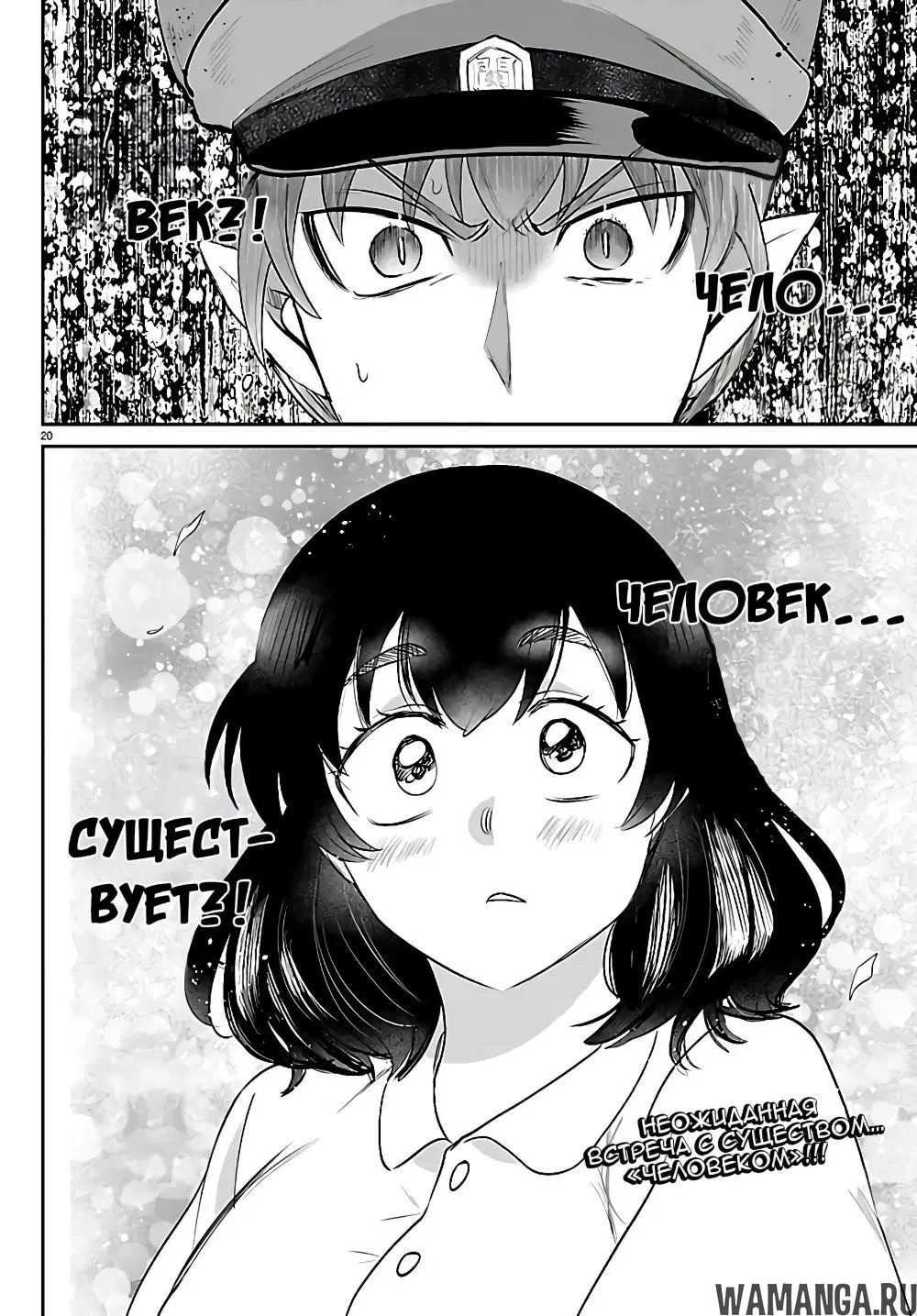 Page 20.000