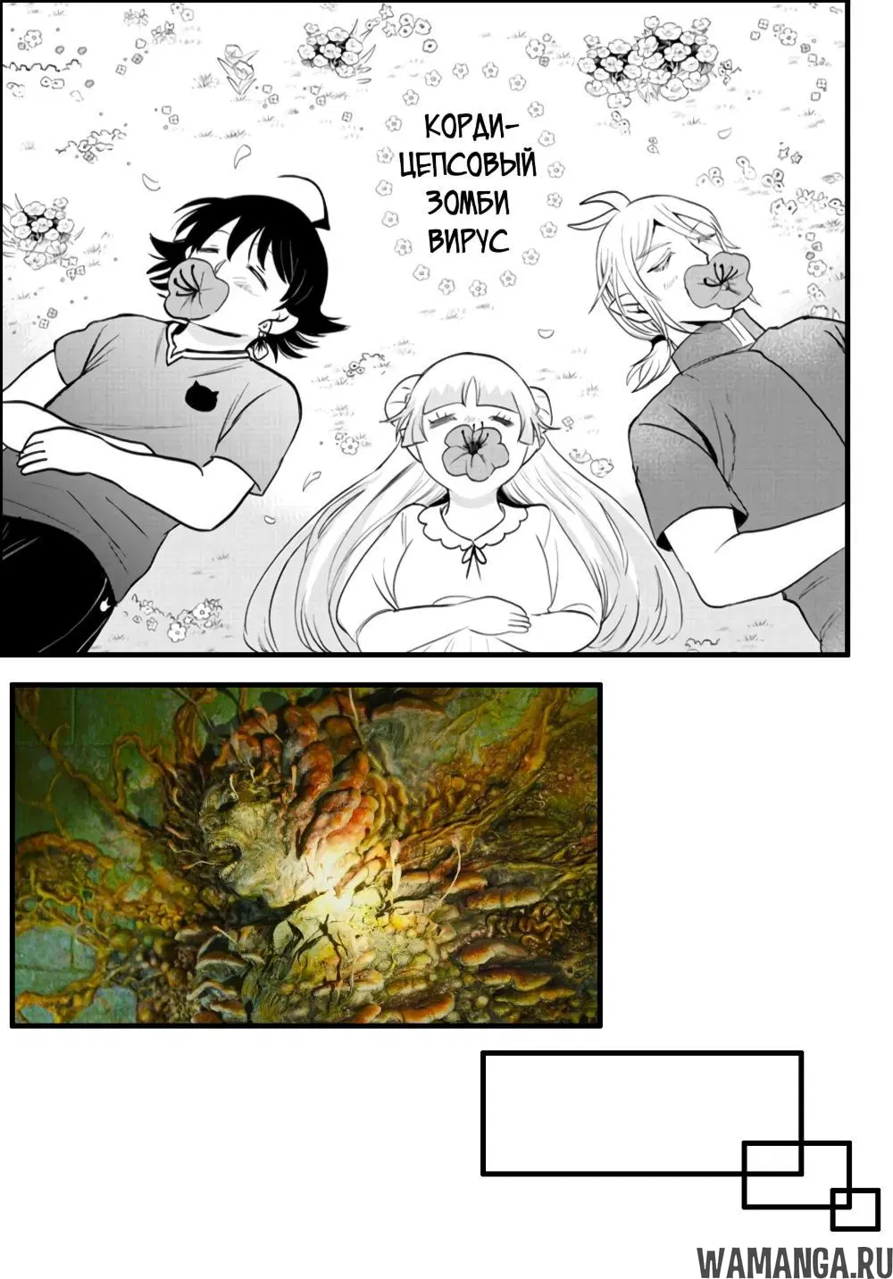 Page 21.000