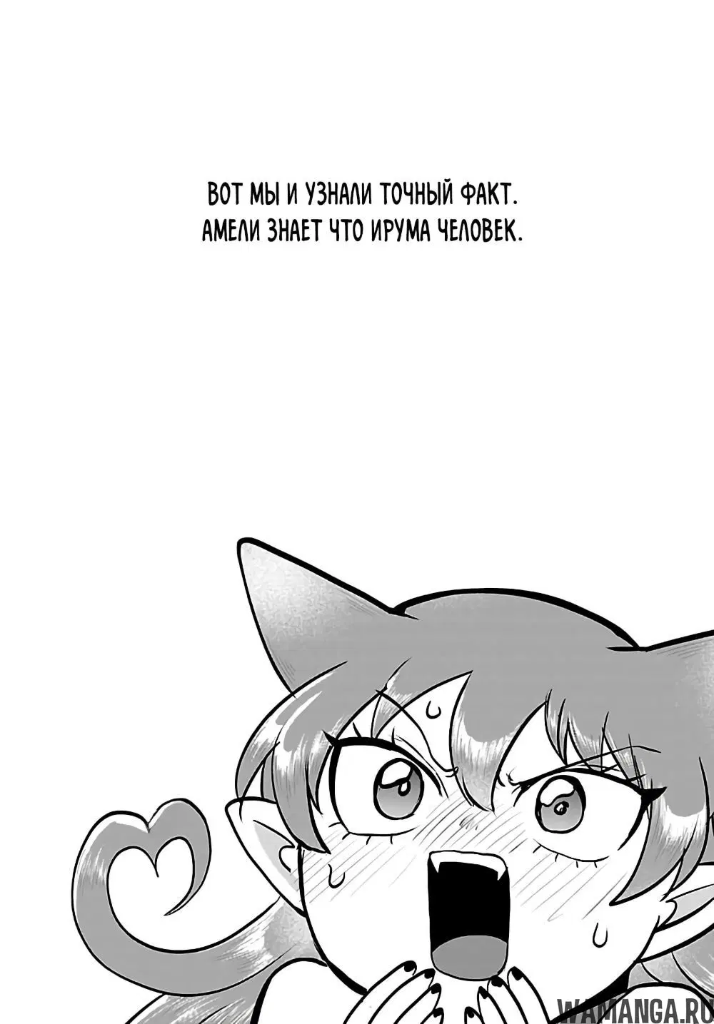 Page 21.000