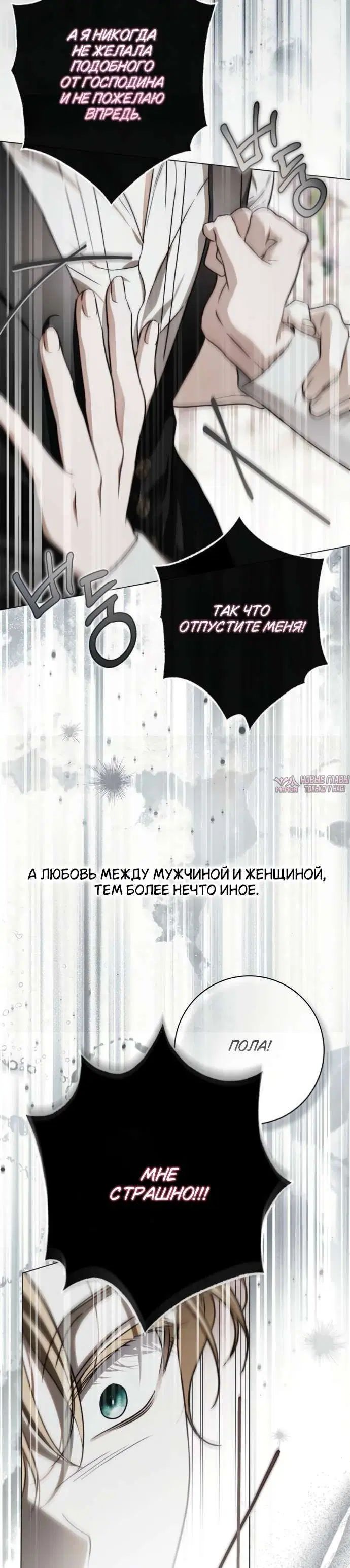 «Тайная служанка графа», глава 99, страница 8.001000000