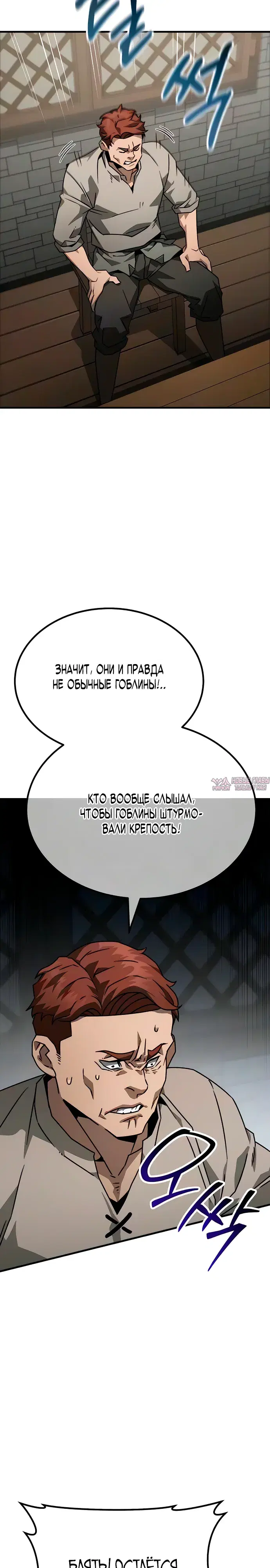 «Месть гоблина», глава 8, страница 22.000000000