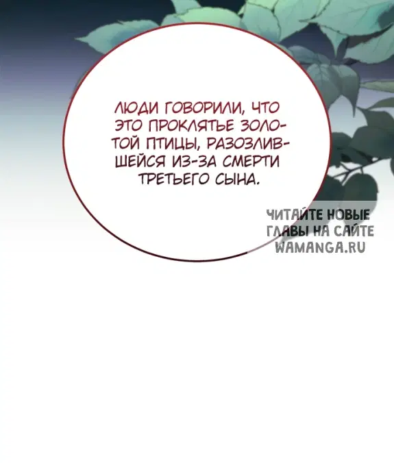 Page 30.000