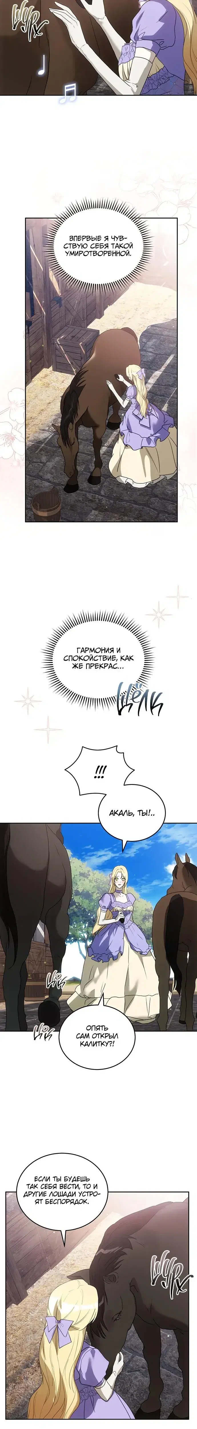 Page 5.001