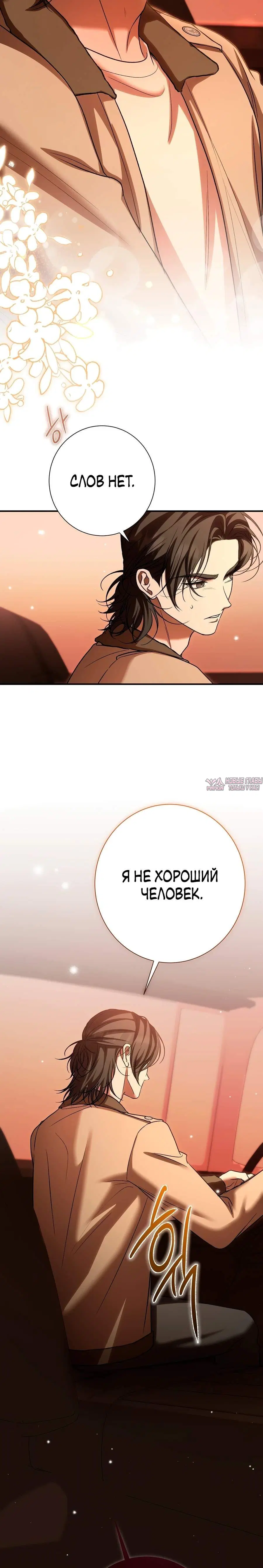 «Леди слишком любопытна», глава 15, страница 5.002000000