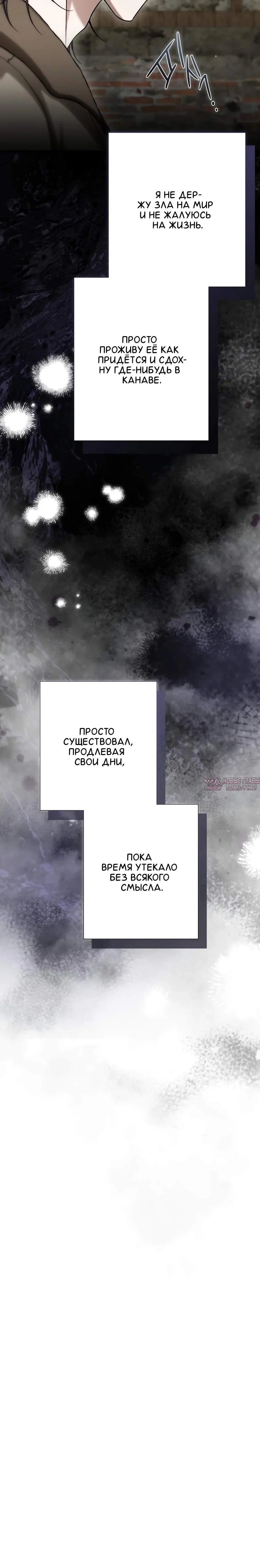 «Леди слишком любопытна», глава 18, страница 5.002000000