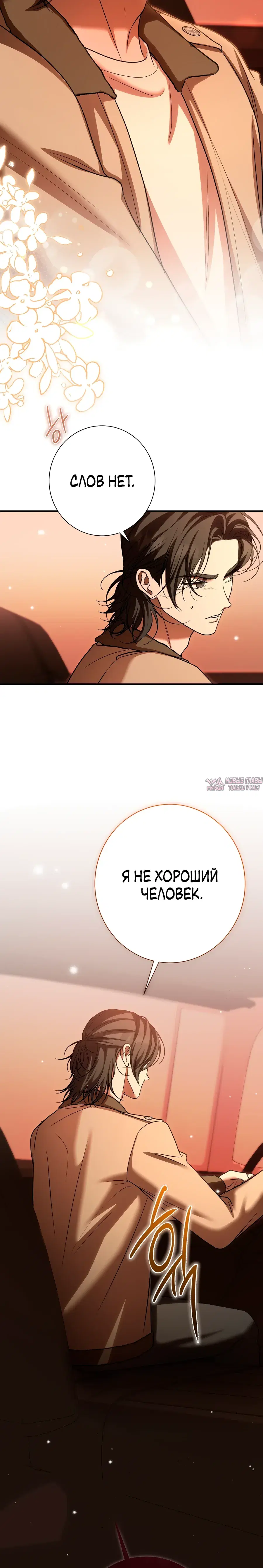 «Леди слишком любопытна», глава 15, страница 30.000000000