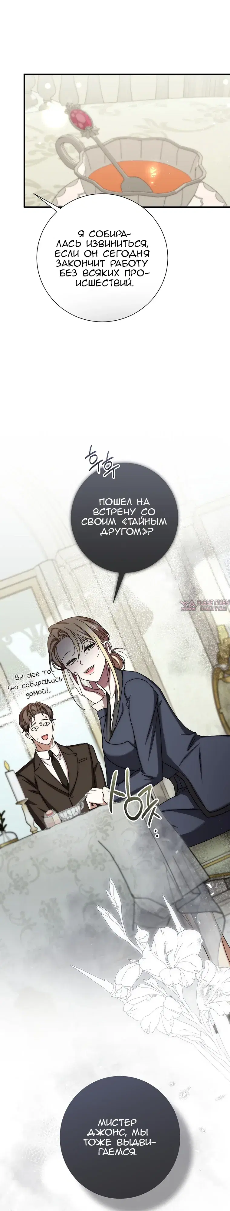 «Леди слишком любопытна», глава 27, страница 30.000000000