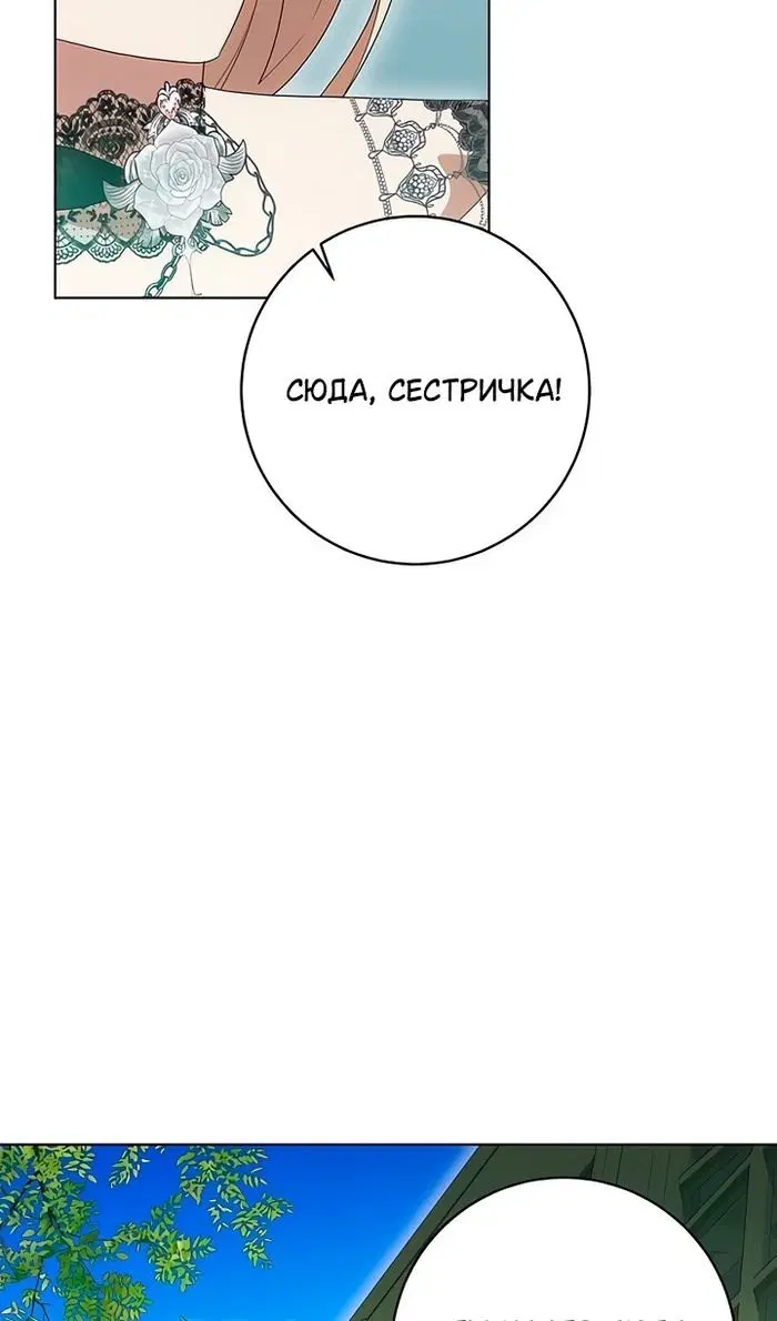 Page 81.000