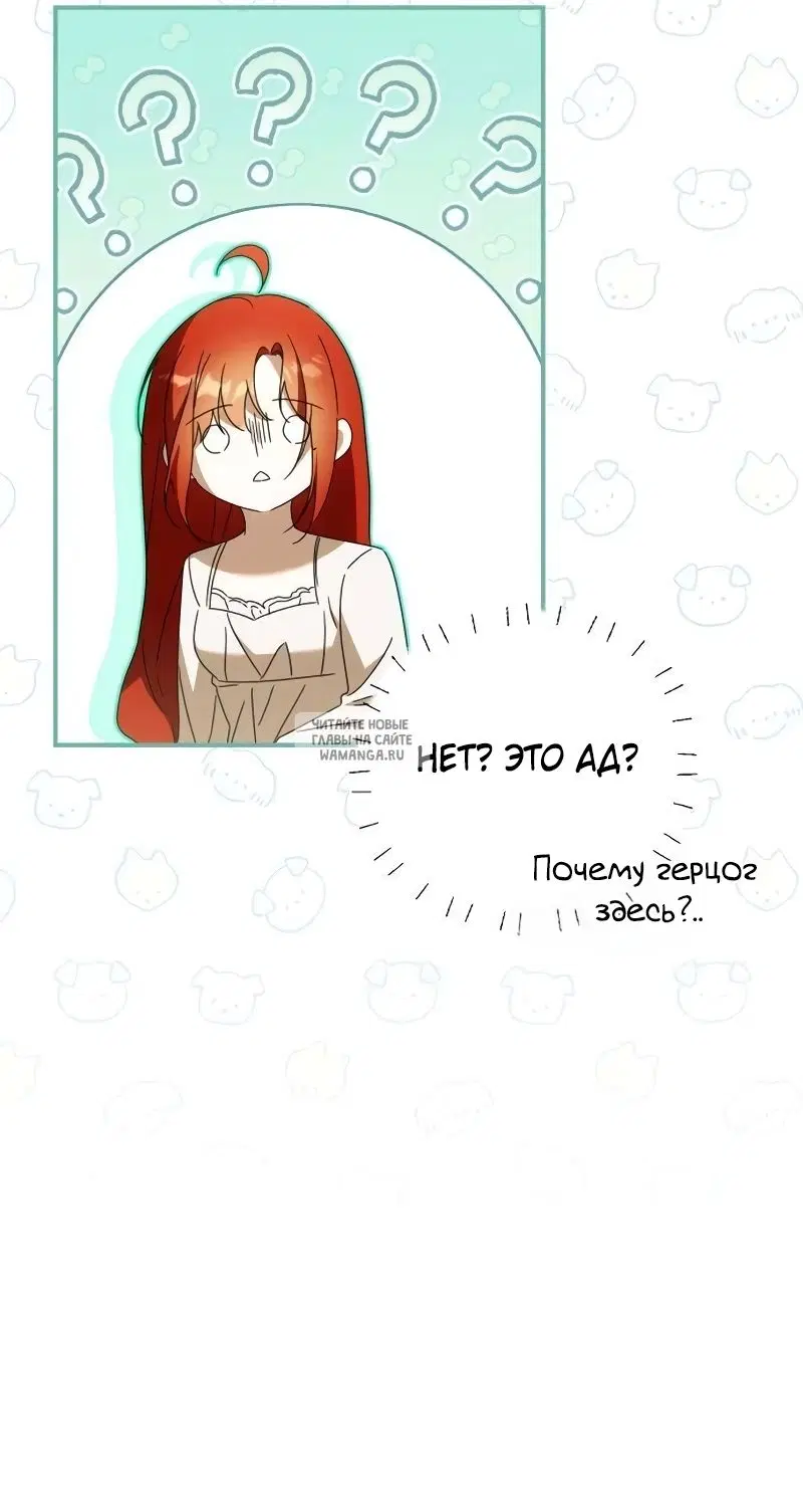 Page 49.000